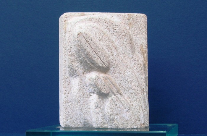 Maternità